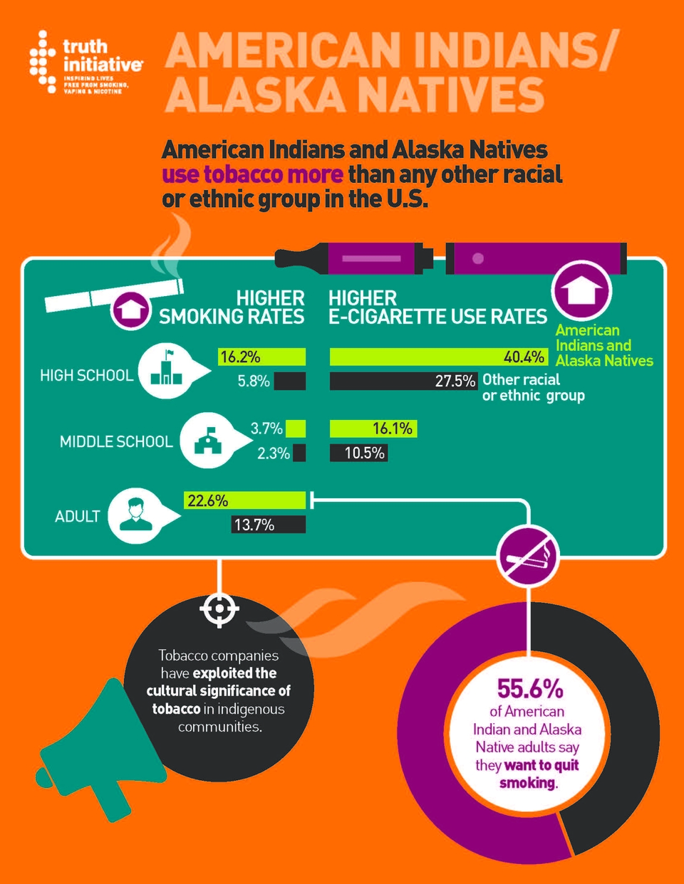 Amer Ind Fact Sheet Infographic